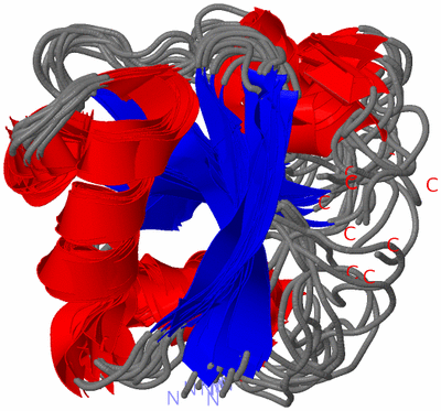 Image NMR Structure - all models