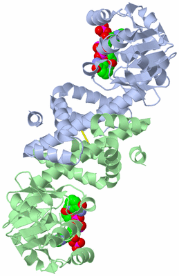 Image Biological Unit 1