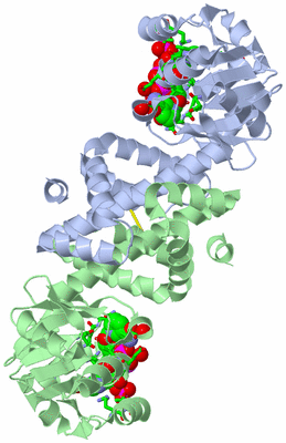 Image Biol. Unit 1 - sites