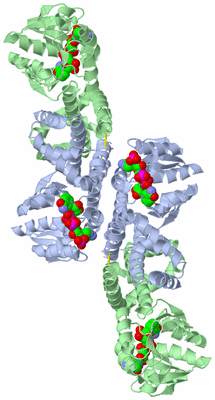 Image Biological Unit 2