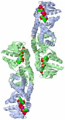 Image Biological Unit 3