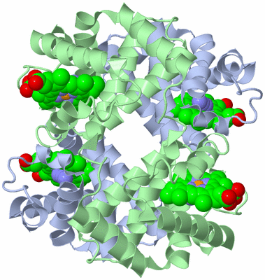 Image Biological Unit 1