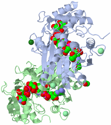 Image Asym./Biol. Unit