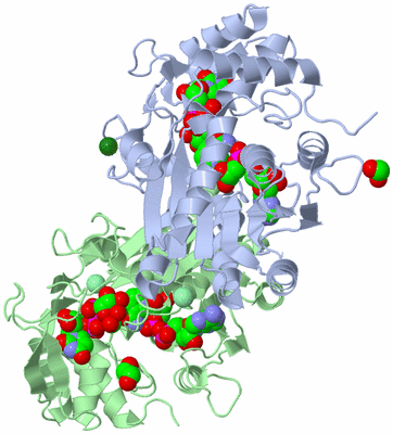 Image Asym./Biol. Unit