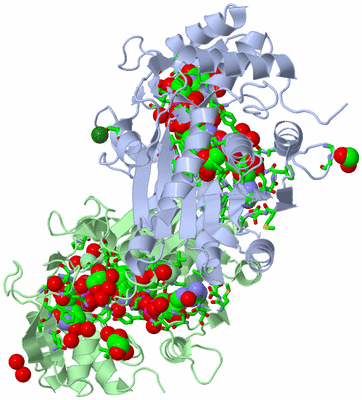 Image Asym./Biol. Unit - sites