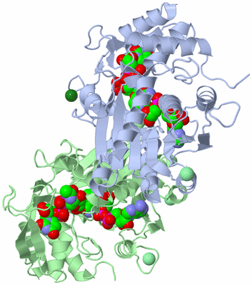 Image Asym./Biol. Unit