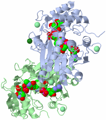 Image Asym./Biol. Unit