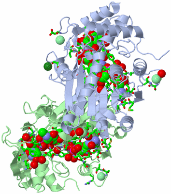 Image Asym./Biol. Unit - sites