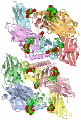 Image Biol. Unit 1 - sites