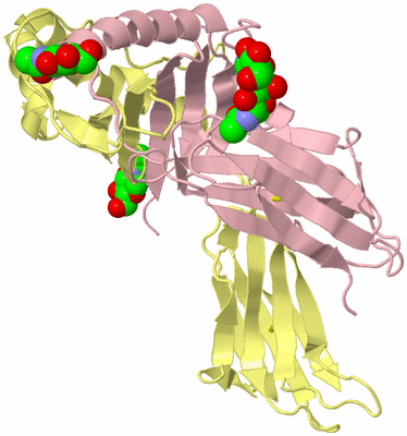 Image Biological Unit 2