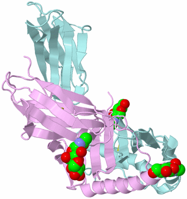 Image Biological Unit 3