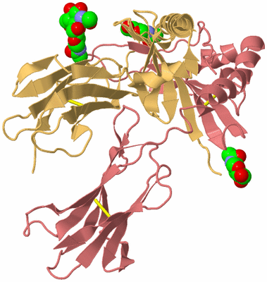 Image Biological Unit 4