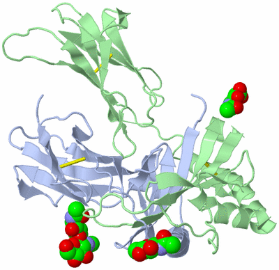 Image Biological Unit 5