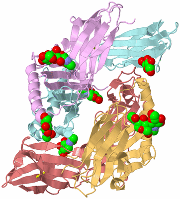 Image Biological Unit 6