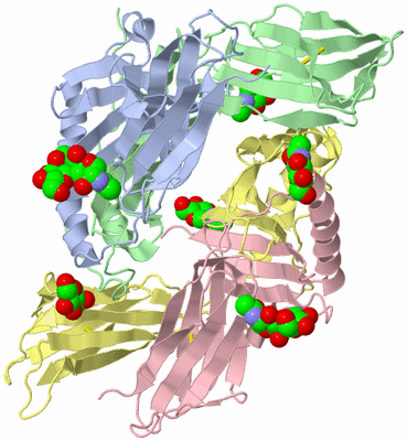 Image Biological Unit 7