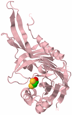 Image Biological Unit 3