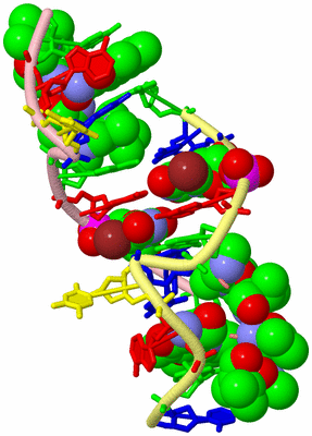 Image Biological Unit 2