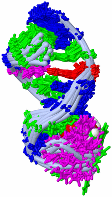 Image NMR Structure - all models