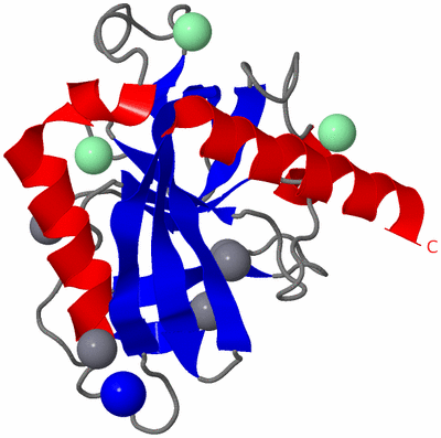 Image Asymmetric Unit