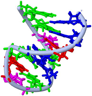 Image NMR Structure - model 1