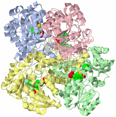 Image Biological Unit 1