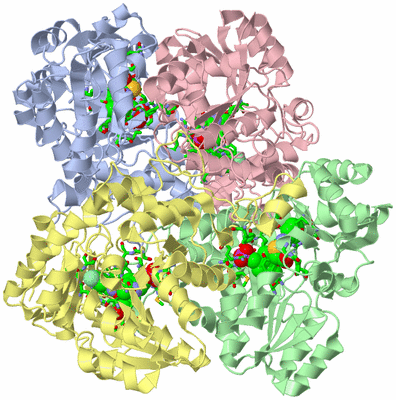 Image Biol. Unit 1 - sites