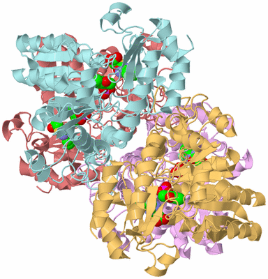 Image Biological Unit 2