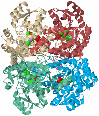 Image Biological Unit 3