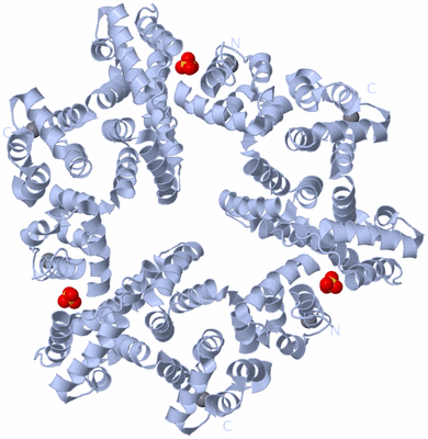 Image Biological Unit 2