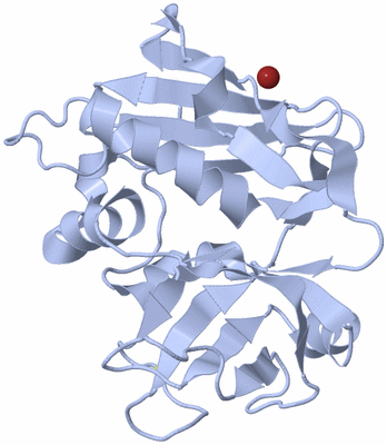 Image Biological Unit 1