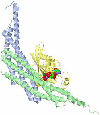 Image Biological Unit 1