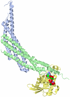 Image Biological Unit 2