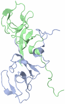 Image NMR Structure - model 1