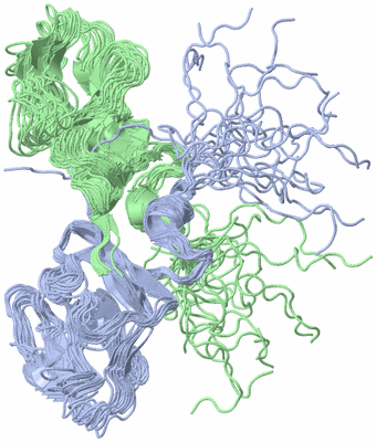 Image NMR Structure - all models