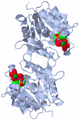 Image Biological Unit 1