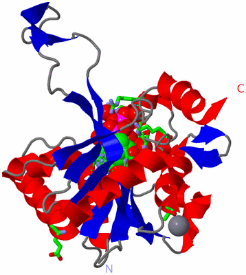 Image Asym. Unit - sites