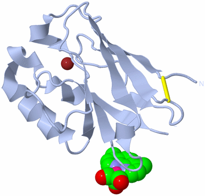 Image Biological Unit 1