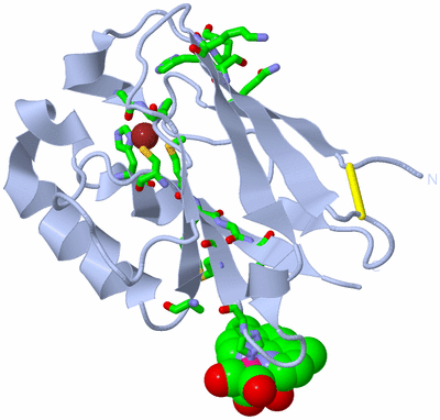 Image Biol. Unit 1 - sites