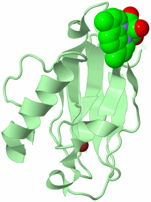 Image Biological Unit 2