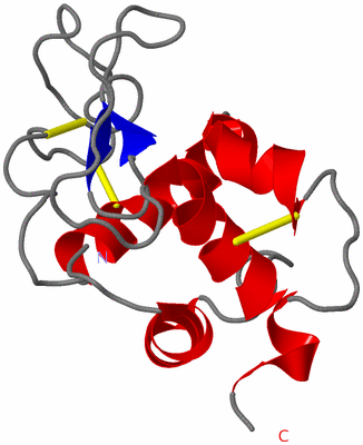 Image NMR Structure - model 1