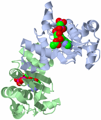 Image Asym./Biol. Unit