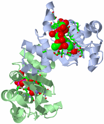 Image Asym./Biol. Unit - sites