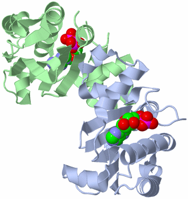 Image Asym./Biol. Unit