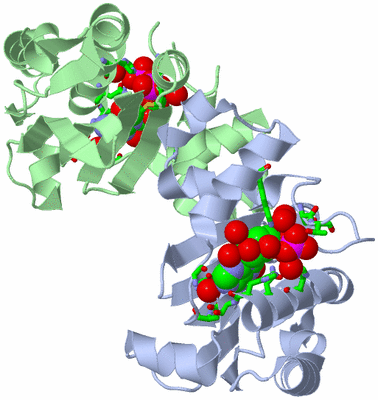 Image Asym./Biol. Unit - sites