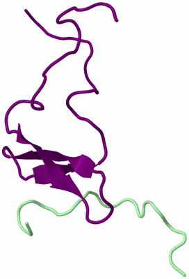 Image NMR Structure - model 1