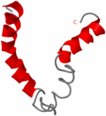 Image NMR Structure - model 1