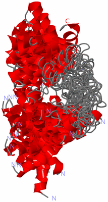 Image NMR Structure - all models