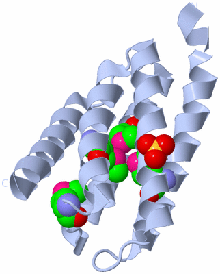 Image Biological Unit 1