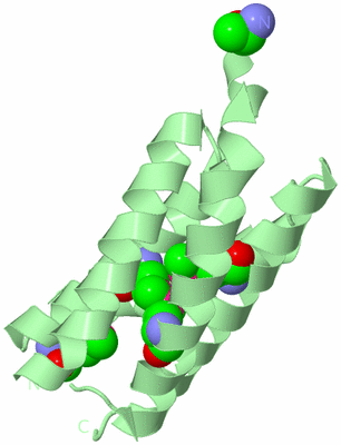 Image Biological Unit 2