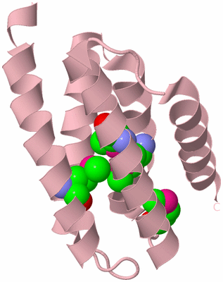 Image Biological Unit 3